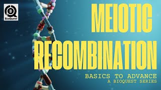 Meiotic Recombination  Homologous Recombination in Eukaryotes  Fundamental Processes  B2A [upl. by Erdman]