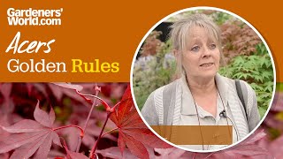 Caring for acers  Golden Rules [upl. by Azyl]