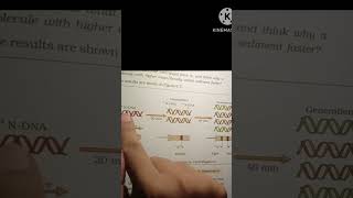 Meselson and Stahls experiment proof of DNA replication is semi conservative process shorts [upl. by Annabelle901]