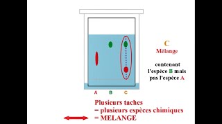 Interpréter un CHROMATOGRAMME  Chromatographie sur couche mince  CCM [upl. by Blisse]