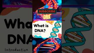 What is DNA 🧑‍🔬 dna biology discover [upl. by Sibyls893]