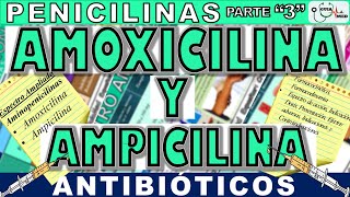 AMOXICILINA PARA QUE SIRVE ESTE MEDICAMENTO AMOXICILINA Y AMPICILINA  GuiaMed [upl. by Novihs792]