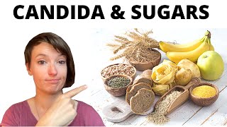 Candida Diet Which Carbs Can You Eat [upl. by Mohl]