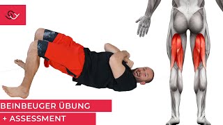 Leg Curl ohne Geräte  Oberschenkelrückseite trainieren  Gold für Deine Knie [upl. by Nnylyaj]