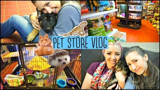 PET STORE VLOG  Hamsters Hedgehogs Reptiles and More [upl. by Pugh]