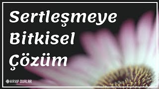 Sertleşmeye Bitkisel Çözüm Sertleşmesi İçin Ne Yemeli [upl. by Powe]