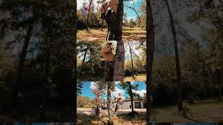 🌲🏹 Hunt From Above Recap 🏹🌲 [upl. by Karlyn755]