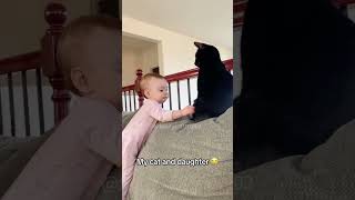 The Mental State of a Black Cat🐈‍⬛🐈‍⬛ catfunny pets cat [upl. by Farver]