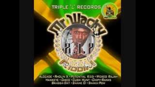 Mr WACKY RIP RIDDIM INSTRUMENTAL  TRIPLE L RECORDS JULY 2014 [upl. by Nylaret742]