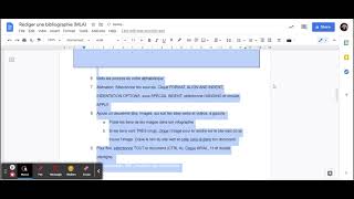 Cohérent  Arial 12 Double Interligne  Rédiger une bibliographie MLA  Google Docs [upl. by Cost42]