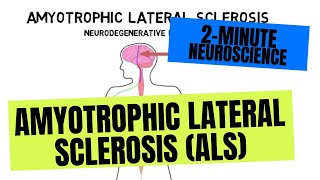 2Minute Neuroscience Amyotrophic Lateral Sclerosis ALS [upl. by Gillespie513]