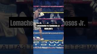 Vasiliy Lomachenko vs George Kambosos Jr  Full Fight Highlights [upl. by Rehpotirhc]