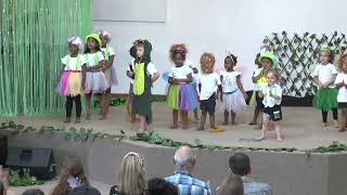 Yonatan 2024 school concert songs [upl. by Eerazed]