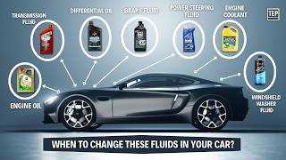 When amp How to Change Every Fluid in your Car  Explained [upl. by Groscr670]