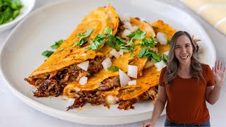 Instant Pot Beef Birria  How to Make QuesaBirria Tacos [upl. by Fleur87]