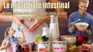 Le microbiote intestinal  Ne sousestimezvous pas le pouvoir caché de votre deuxième cerveau [upl. by Fezoj173]