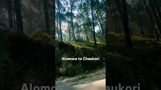 alomoratochaukori subscribe uttarakhand travel shorts road bengalivlogchannel [upl. by Alarick]