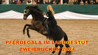 DIE GROSSE PFERDEGALA IM LANDGESTÜT ZWEIBRÜCKEN 2024 TEIL 1 [upl. by Eicul]