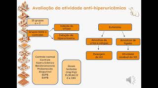 IX Mostra dos Programas de PósGraduação [upl. by Merl]