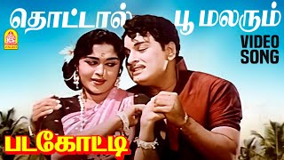 Thottal Poo Malarum  HD Video Song  தொட்டால் பூ மலரும்  Padagotti  MGR  Saroja Devi [upl. by Enert336]