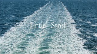 Little Stroll 33  DFDS Ferry Ride from Copenhagen Denmark to Oslo Norway  Walk Tour 4K [upl. by Ahsinor]