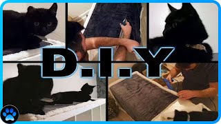 DIY Cat ShelveBed  IKEA KALLAX HACK  JohnsAnimals [upl. by Uri]