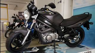 Nueva Suzuki GS 500  Precio y Ficha Técnica en la Descripción [upl. by Hsirap]