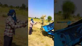 Multicrop thresher agriculture farmer YouTubeshort multitechharvest [upl. by Eslud568]