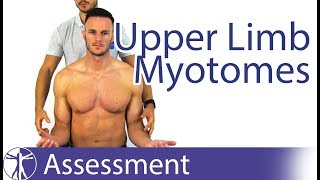 Myotomes Upper Limb  Peripheral Neurological Examination [upl. by Calhoun]