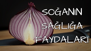 SOĞANIN SAĞLIĞA FAYDALARI [upl. by Vonny]