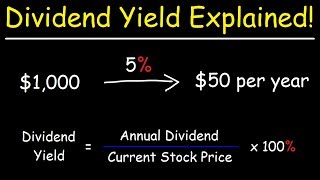 The Dividend Yield  Basic Overview [upl. by Eednahs68]