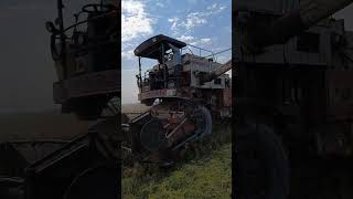 new dashmesh harvester  dashmesh harvester short  dashmesh harvester new short [upl. by Pontias661]