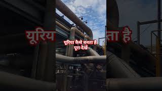 Urea Manufacturing in Factory urea fertilizer manufacturing factory [upl. by Nauqas230]