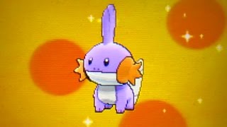 Shiny Mudkip hatched after 631 Eggs on Pokemon Alpha Sapphire [upl. by Eenehs706]