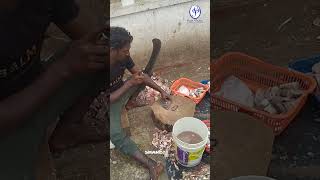 Fish Cutting  Vanagaram trendingillayaraja viralvideoshortfeedfoodlover fishmarketfoodie [upl. by Ahsinad80]