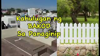 KAHULUGAN NG BAKOD SA PANAGINIP [upl. by Gaw]