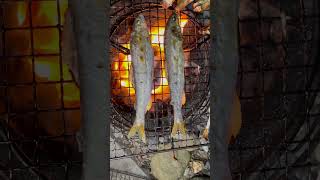 鮎を焼いてみた🔥I tried grilling sweetfish 🔥asmr 鮎 sweetfish [upl. by Gemina633]