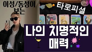 타로🥳이성동성이 보는 나의 치명적인 매력타로피셜🍒🍹 [upl. by Nuawaj529]