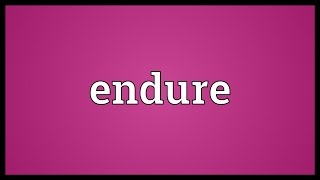 Endure Meaning [upl. by Oetomit]