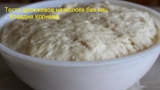 Тесто дрожжевое на молоке без яиц для булочек пирогов пирожков и беляшей [upl. by Dearden]