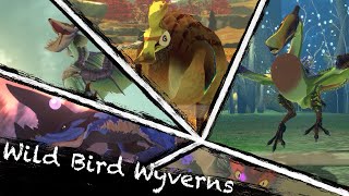 All Wild Bird Wyverns Moves in Monster Hunter Stories 2 [upl. by Gord]