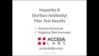 HBsAg Test  Hepatitis B Surface Antigen Test [upl. by Leund]