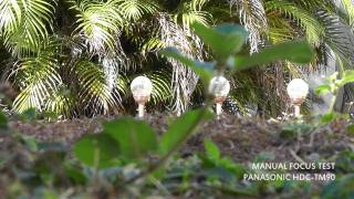 PANASONIC HDCTM90 Camcorder  Manual Focus Test [upl. by Waldon]