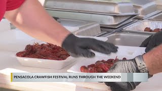 10 tons of crawfish ready to be served at 38th annual Crawfish Festival [upl. by Dewhirst]