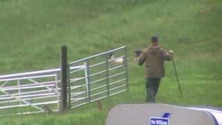 The inverlochlarig Sheep Dog Trials [upl. by Evin]