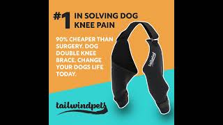 dog acl brace [upl. by Ashia]