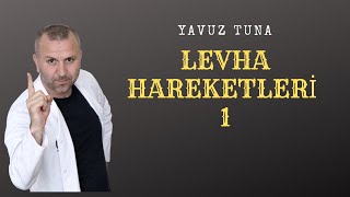 LEVHA HAREKETLERİ 1 tytcoğrafya aytcoğrafya coğrafya kpsscoğrafya [upl. by Noni]