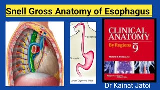 Snell Gross Anatomy of Esophagus [upl. by Diane-Marie]