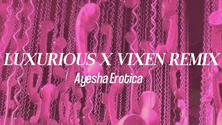 Ayesha Erotica  Luxurious X Vixen Remix Lyrics [upl. by Alesi]