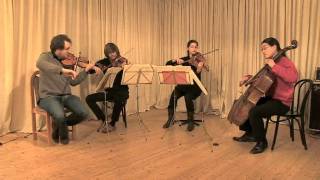 J Haydn String Quartet In D Major Op64 quotThe Larkquot  2 Adagio Cantabile  Schnitzler Quartet [upl. by Guerra]